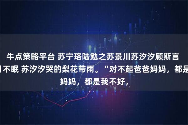 牛点策略平台 苏宁珞陆勉之苏景川苏汐汐顾斯言 星伴残月不眠 苏汐汐哭的梨花带雨。“对不起爸爸妈妈，都是我不好，