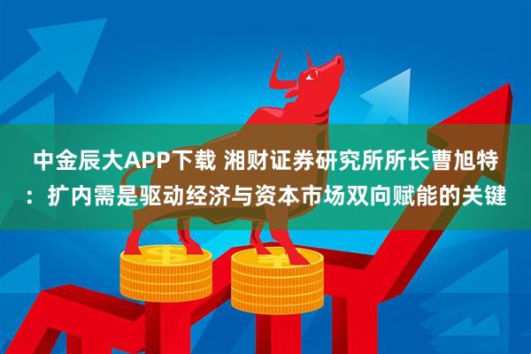 中金辰大APP下载 湘财证券研究所所长曹旭特：扩内需是驱动经济与资本市场双向赋能的关键