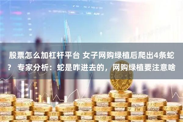 股票怎么加杠杆平台 女子网购绿植后爬出4条蛇？ 专家分析：蛇是咋进去的，网购绿植要注意啥