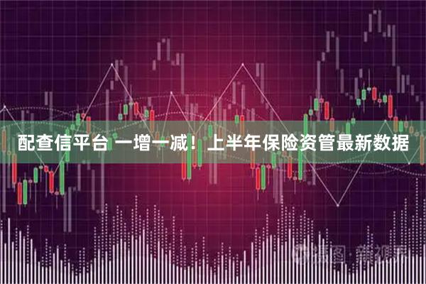 配查信平台 一增一减！上半年保险资管最新数据